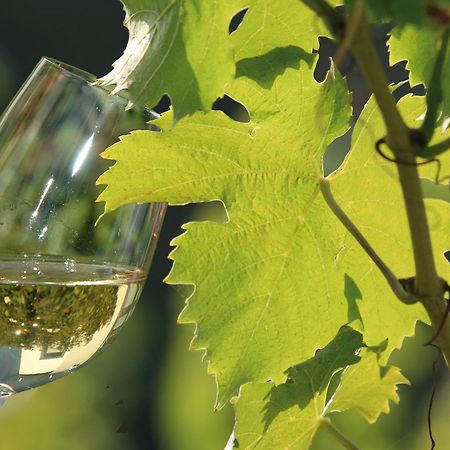 Weingut Rosenbaum Lejlighed Briedel Eksteriør billede