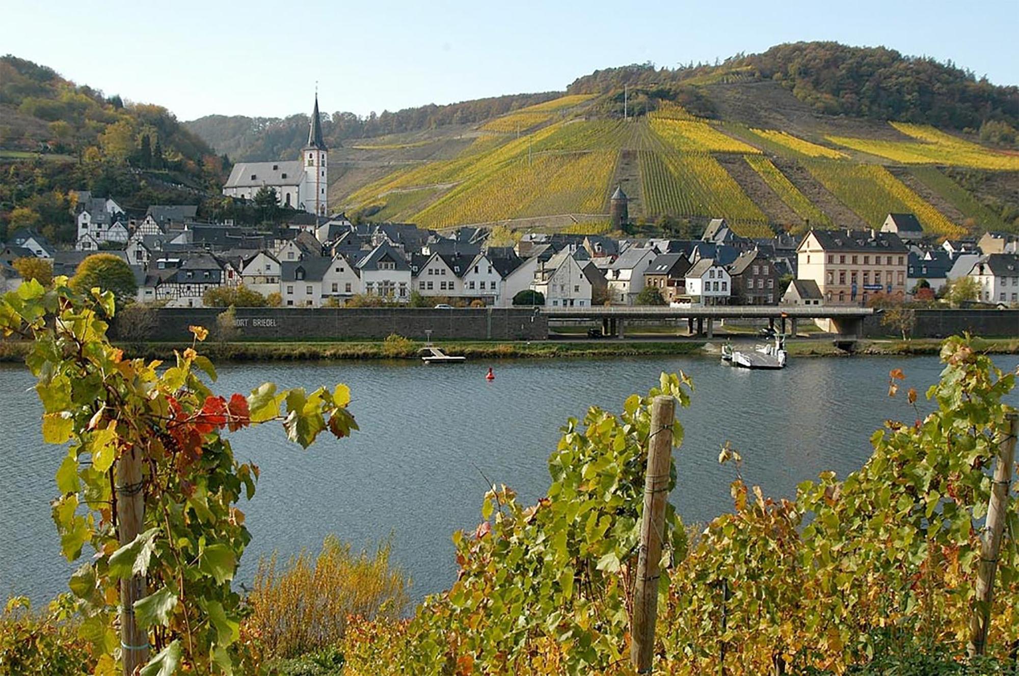 Weingut Rosenbaum Lejlighed Briedel Eksteriør billede