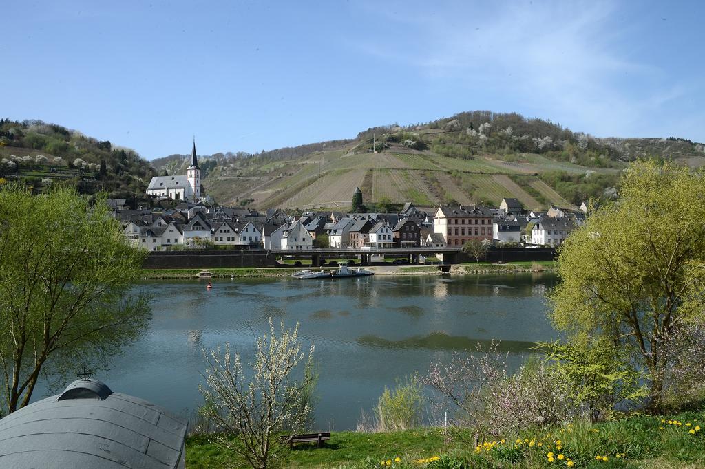 Weingut Rosenbaum Lejlighed Briedel Eksteriør billede