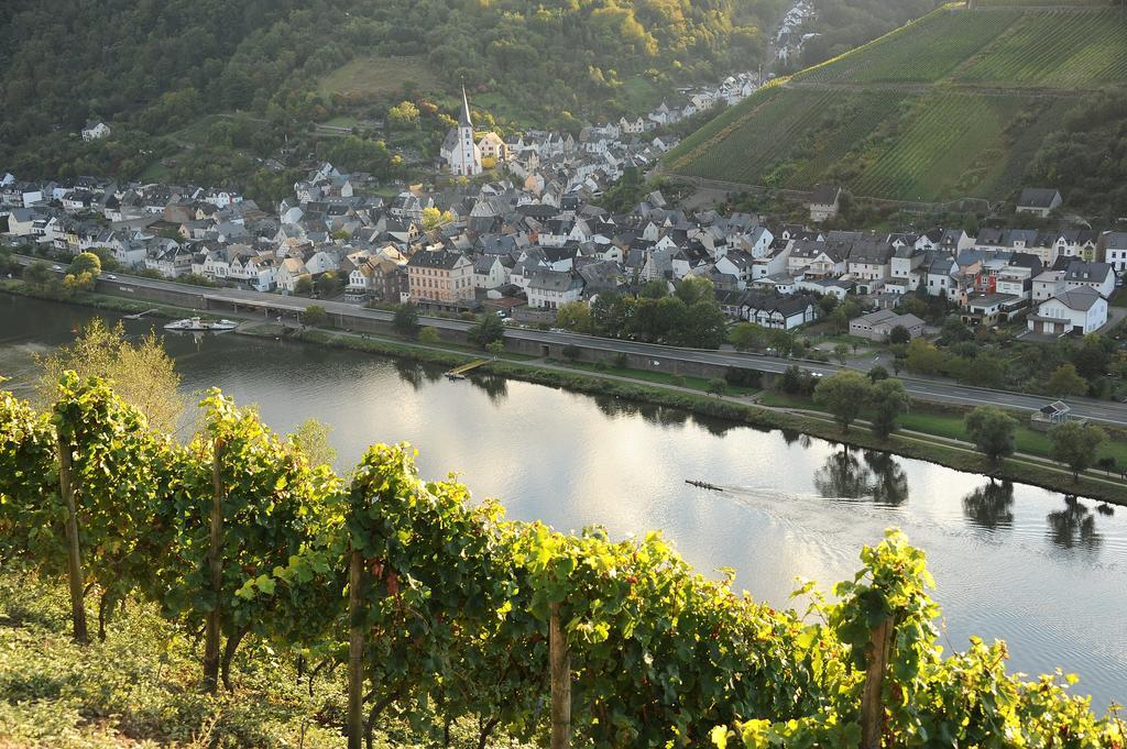Weingut Rosenbaum Lejlighed Briedel Eksteriør billede