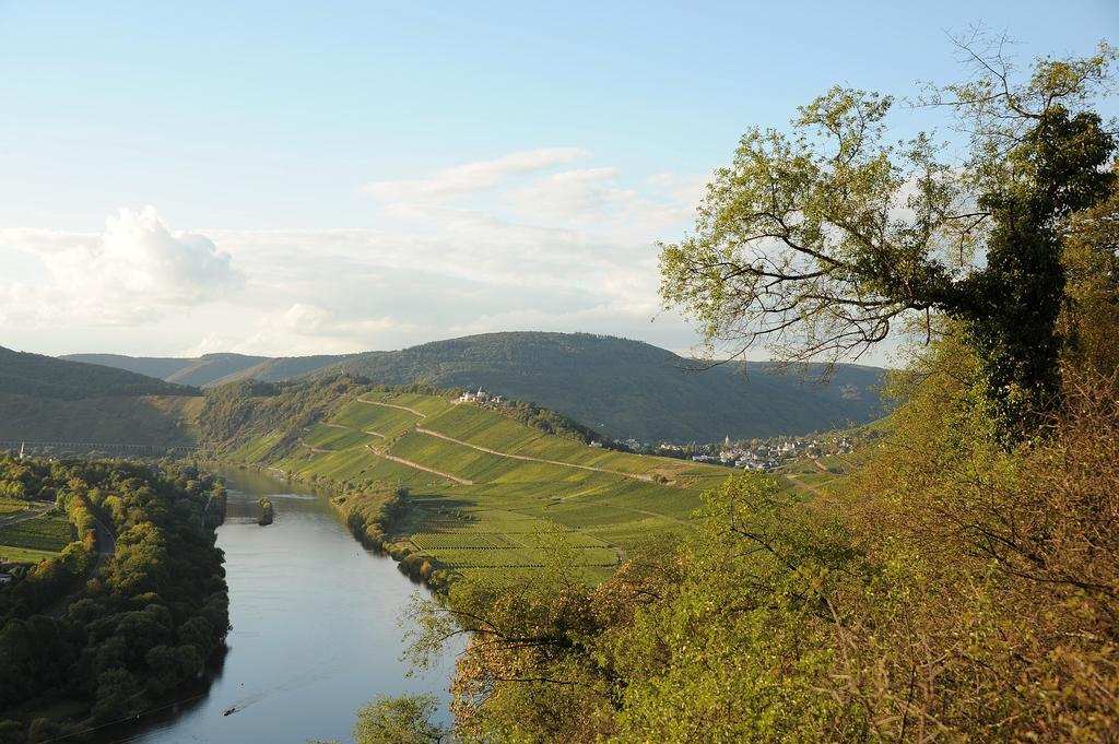 Weingut Rosenbaum Lejlighed Briedel Eksteriør billede