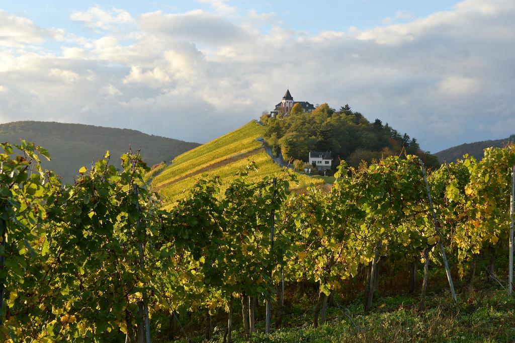 Weingut Rosenbaum Lejlighed Briedel Eksteriør billede